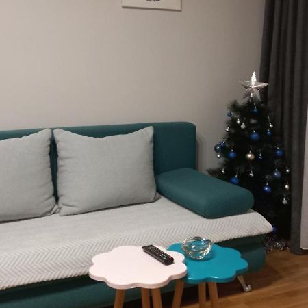 Apartment Marija Belgrad Zewnętrze zdjęcie