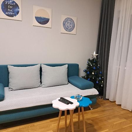 Apartment Marija Belgrad Zewnętrze zdjęcie